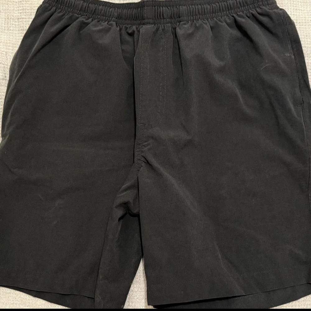 Chubbies Swim Shorts